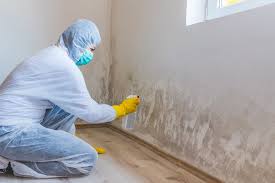 Why You Should Choose Our Mold Remediation Services in Centereach, NY